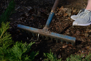 Similar image 21563172