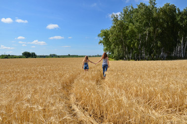 Similar image 21563173