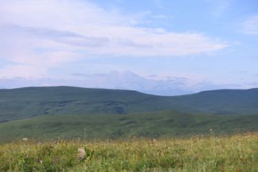 Similar image 21558496