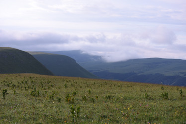 Similar image 21558497