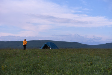 Similar image 21558499