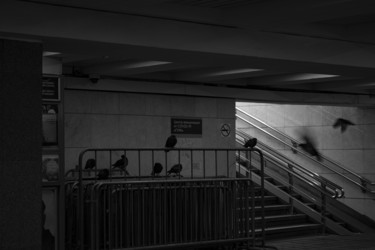 Similar image 21563174