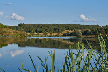 Similar image 21558016