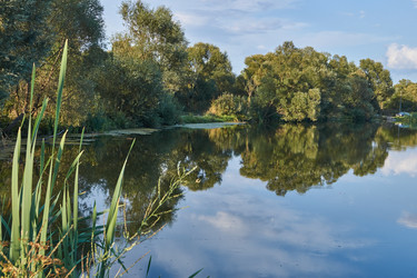 Similar image 21558018