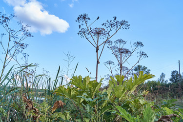 Similar image 21558019