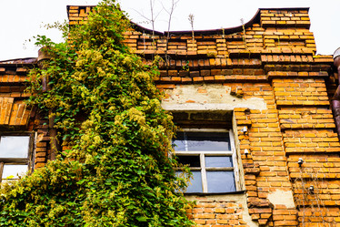 Similar image 21621135