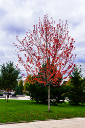 Similar image 21558913