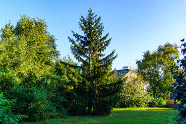 Similar image 21608470