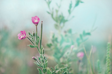 Similar image 21628775