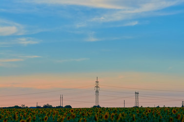 Similar image 21628722