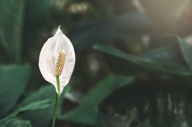 Similar image 21628751