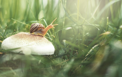 Similar image 21613471