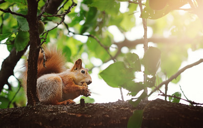 Similar image 21628842