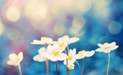 Similar image 21628845