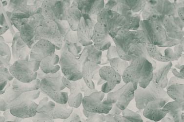 Similar image 21628854