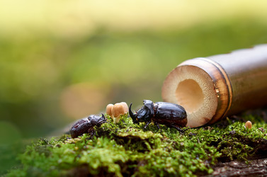 Similar image 21561174