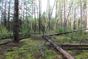 Similar image 21628752