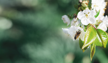 Similar image 21560075