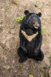 Similar image 21560165