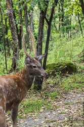 Similar image 21560272