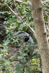 Similar image 21560274