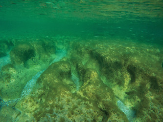 Similar image 21611101