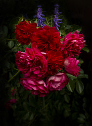 Similar image 21560300