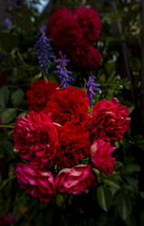 Similar image 21560301