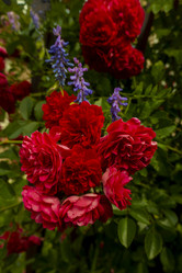 Similar image 21560302