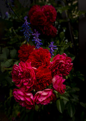 Similar image 21560303