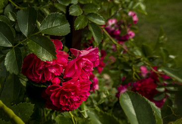 Similar image 21560306