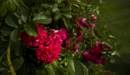 Similar image 21560307