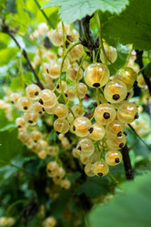 Similar image 21560308