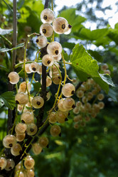 Similar image 21560312