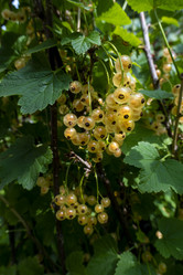 Similar image 21560314