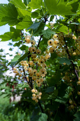 Similar image 21560318