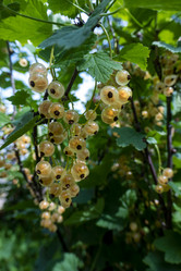 Similar image 21560319