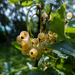 Similar image 21560320