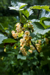 Similar image 21560322