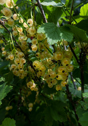 Similar image 21560323