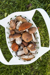 Similar image 21560728