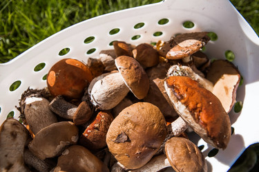 Similar image 21560729