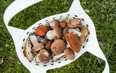 Similar image 21560730