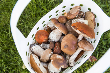 Similar image 21560731