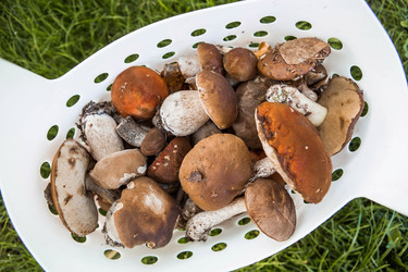 Similar image 21560732