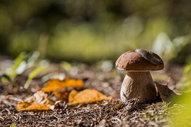 Similar image 21560736