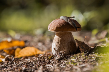 Similar image 21560737