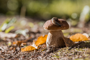 Similar image 21560738