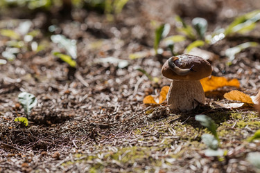 Similar image 21560739