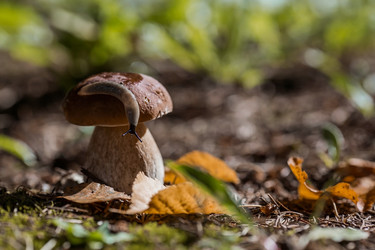 Similar image 21560740